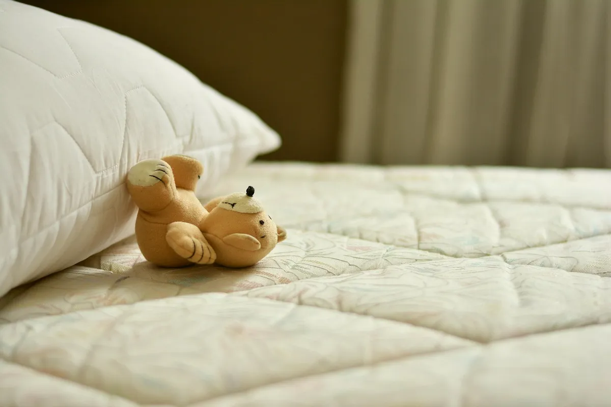 mattress, bed, pillow, sleep, relax, relaxation, rest, place to sleep, bedding, lie, teddy, bedroom, teddy bear, stuffed animal, toy, cute, mattress, mattress,