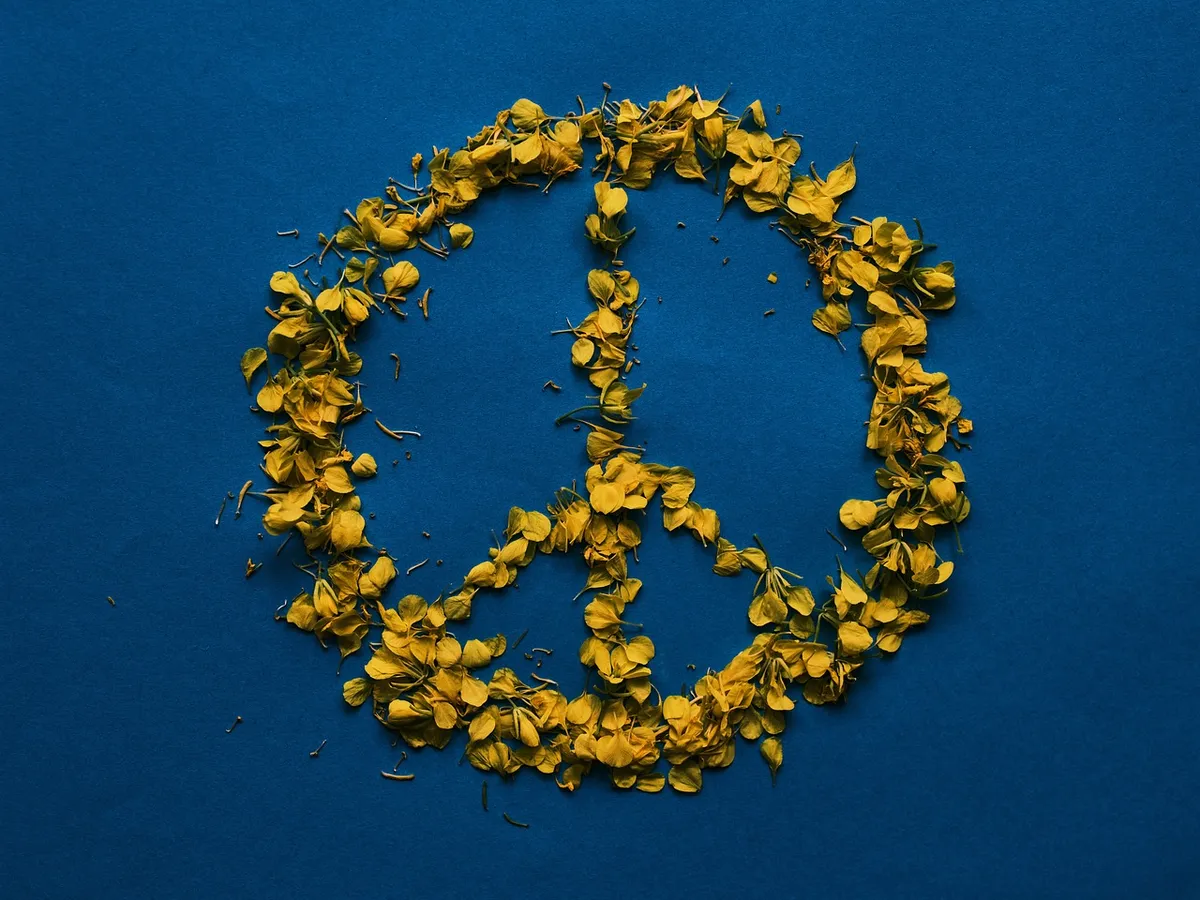 peace, symbol, petals, ukraine, flower wallpaper, flag colors, flower background, yellow petals, freedom, beautiful flowers, independence, design, flower, natur