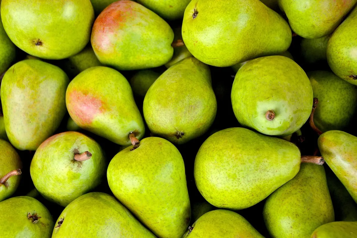 fruits, pears, green, fresh, ripe, harvest, produce, organic, bunch, fruit stand, farmer's market, fresh produce, natural, sweet, market, healthy, food, fruits,