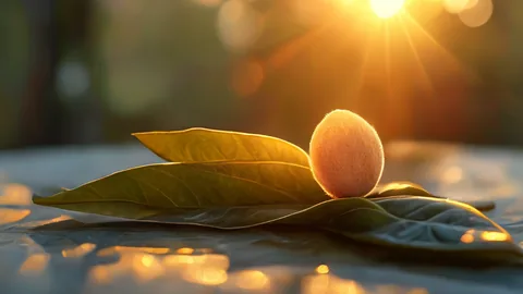 Soju 22%: Tips para degustar este potente espíritu tradicional