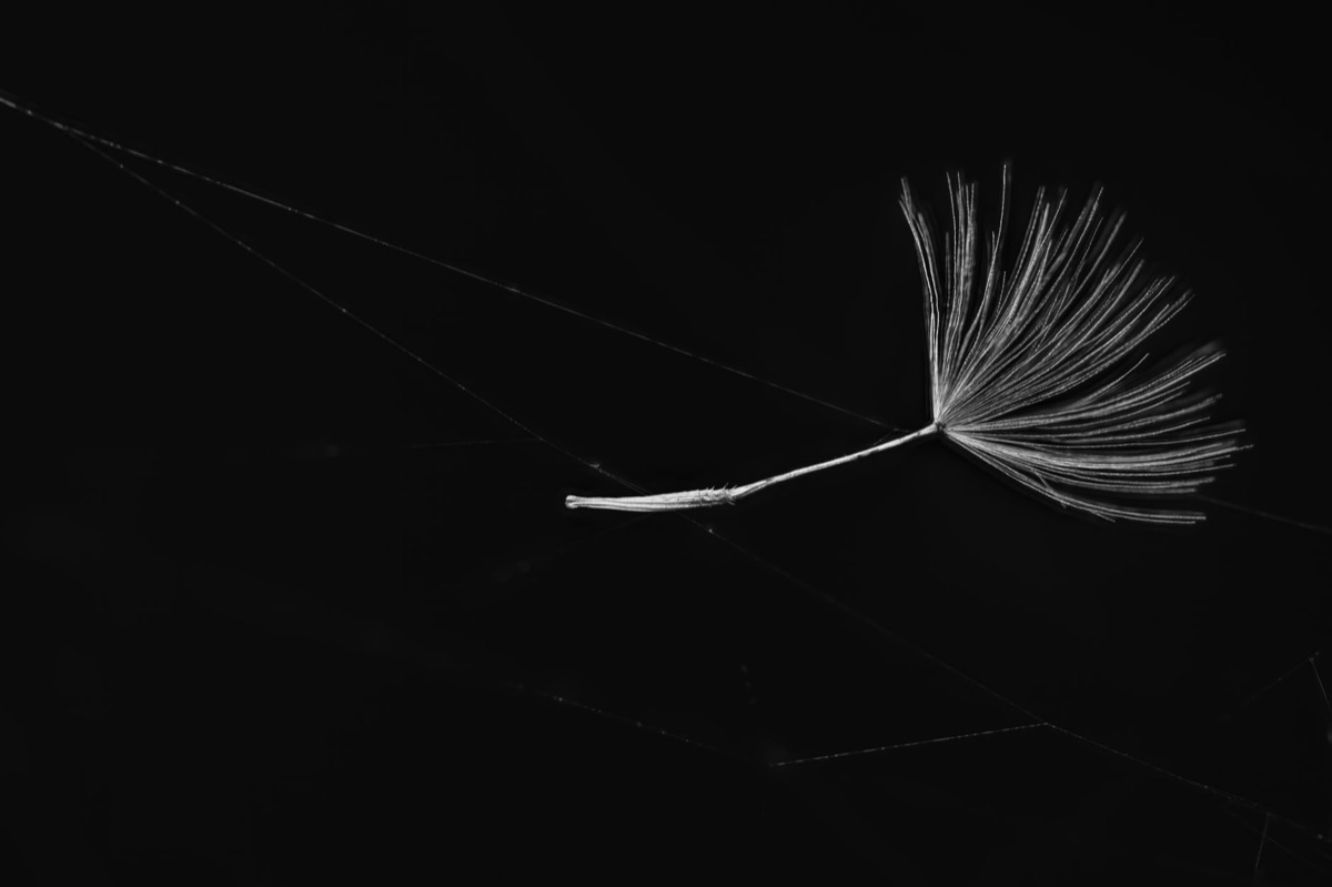 La bellezza fragile: un luogo di pace e riflessione